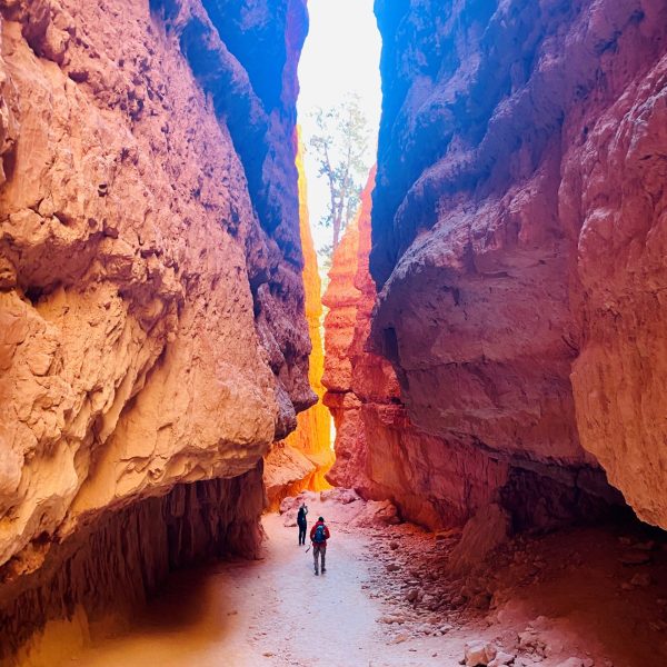 Utah National Park Lodge (2)