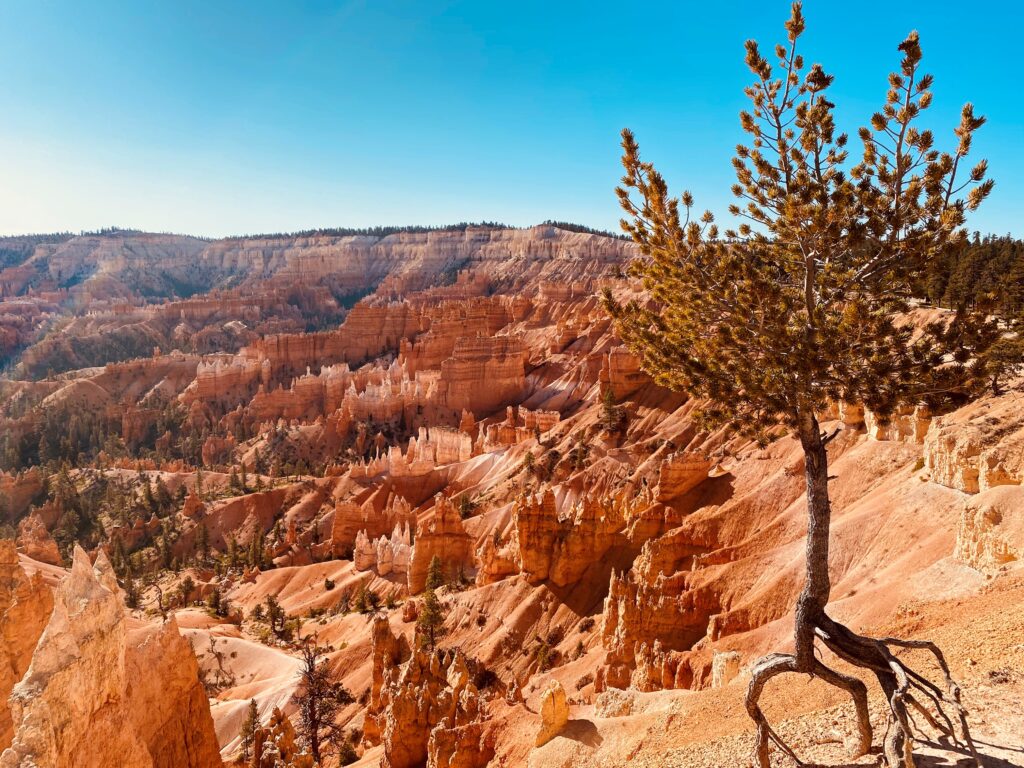 View of red rock canyon