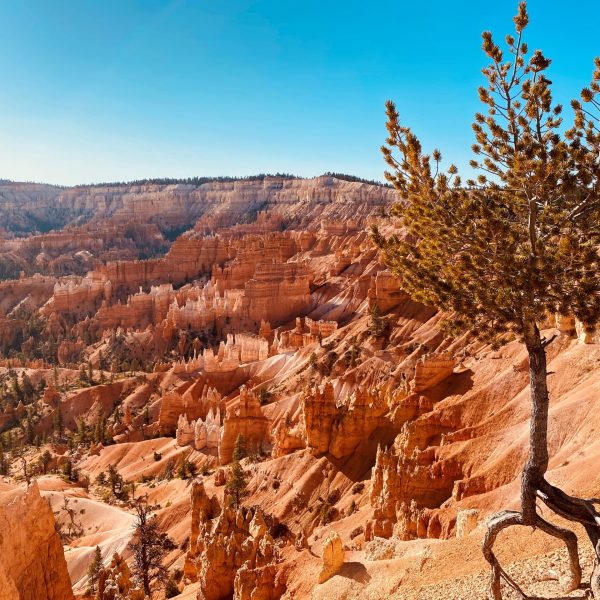 View of red rock canyon