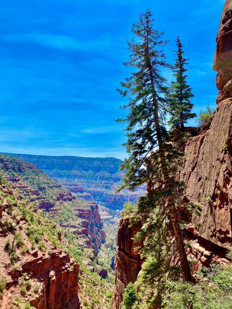 Utah National Park Lodge (4)