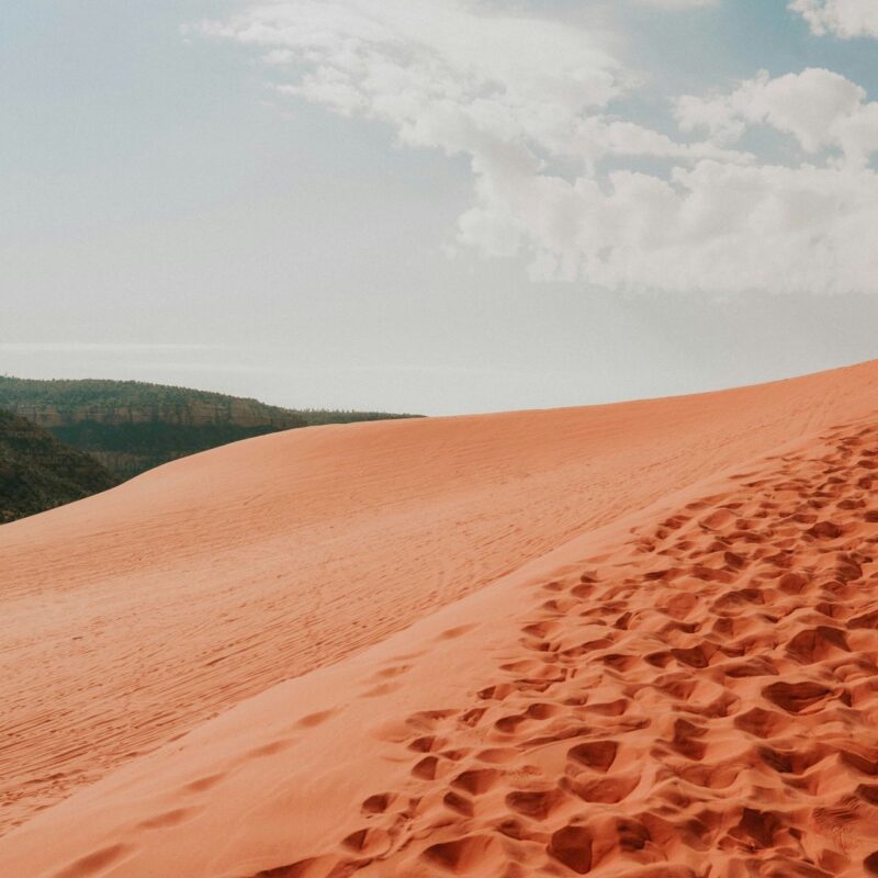 Utah Sand Dunes