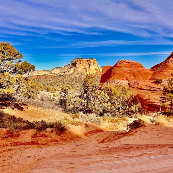 Hiking Trails in Kanab Utah (3)